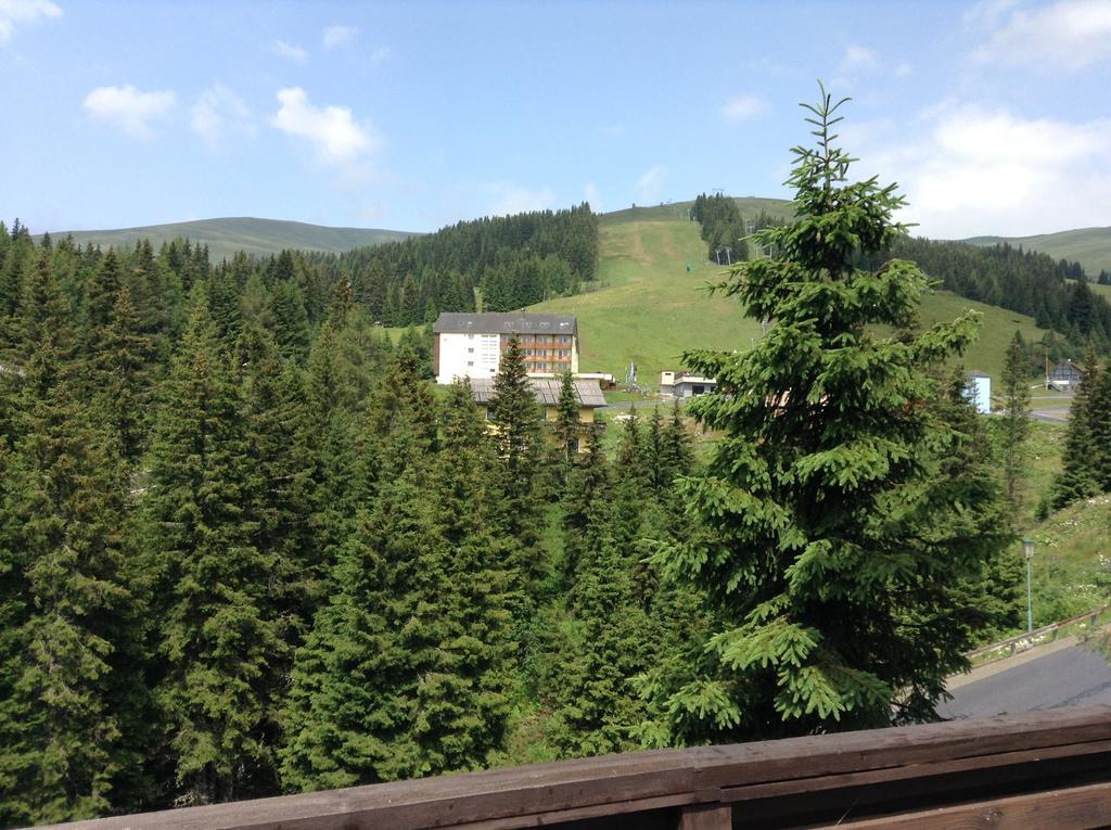 Pension Edelweiss Lachtal Exteriör bild